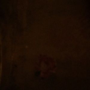 Meet your Posher, Muna